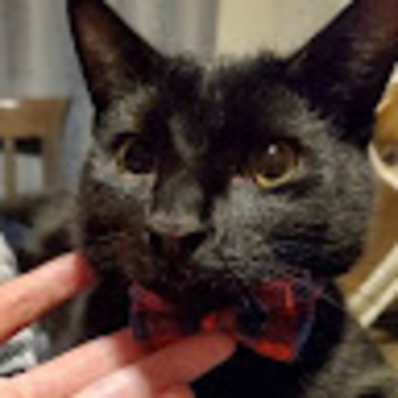 Meet your Posher, Frazz - Picture 1 of 1